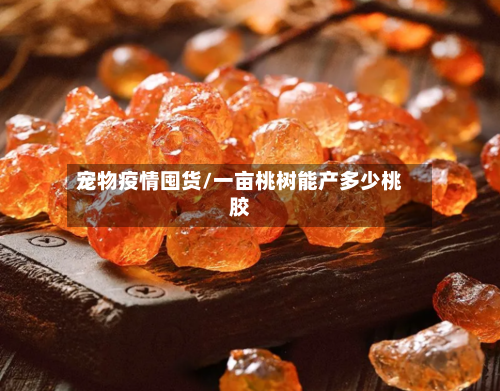 宠物疫情囤货/一亩桃树能产多少桃胶-第2张图片