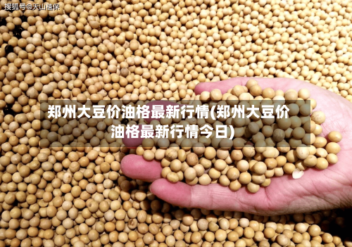 郑州大豆价油格最新行情(郑州大豆价油格最新行情今日)