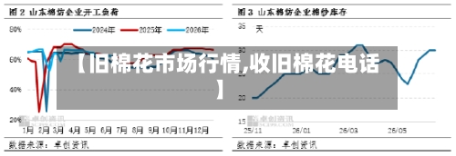 【旧棉花市场行情,收旧棉花电话】