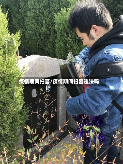 疫情期间扫墓/疫情期间扫墓违法吗