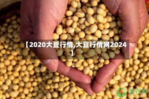 【2020大豆行情,大豆行情网2024】