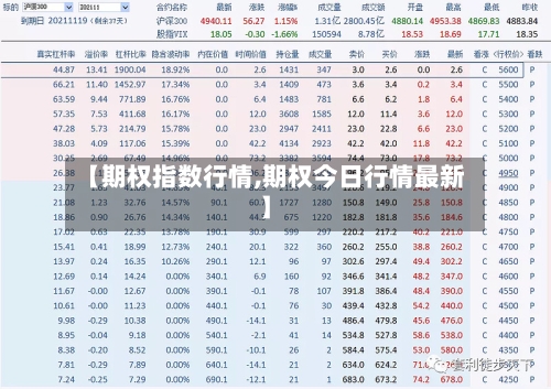 【期权指数行情,期权今日行情最新】