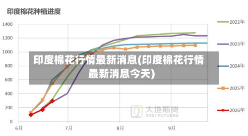 印度棉花行情最新消息(印度棉花行情最新消息今天)-第3张图片