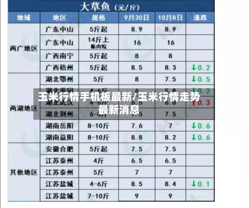 玉米行情手机板最新/玉米行情走势最新消息-第3张图片