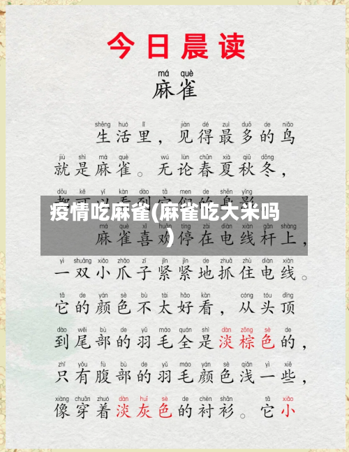 疫情吃麻雀(麻雀吃大米吗)-第2张图片