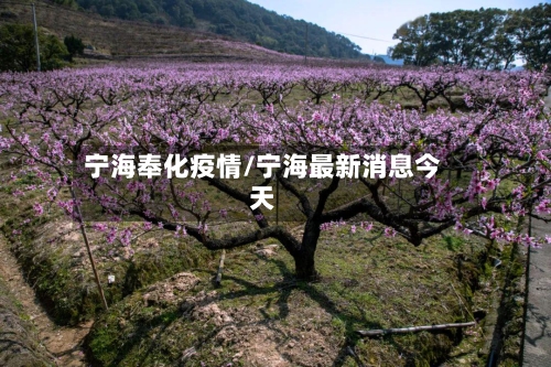 宁海奉化疫情/宁海最新消息今天
