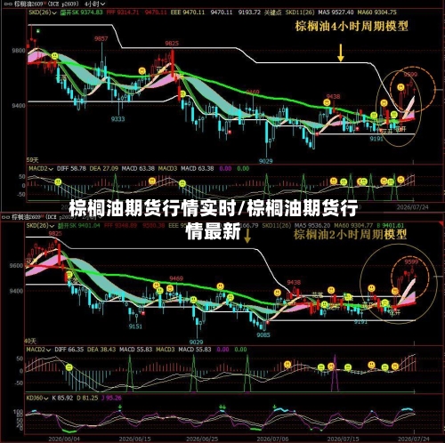 棕榈油期货行情实时/棕榈油期货行情最新
