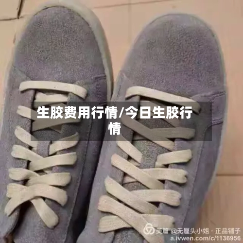 生胶费用行情/今日生胶行情