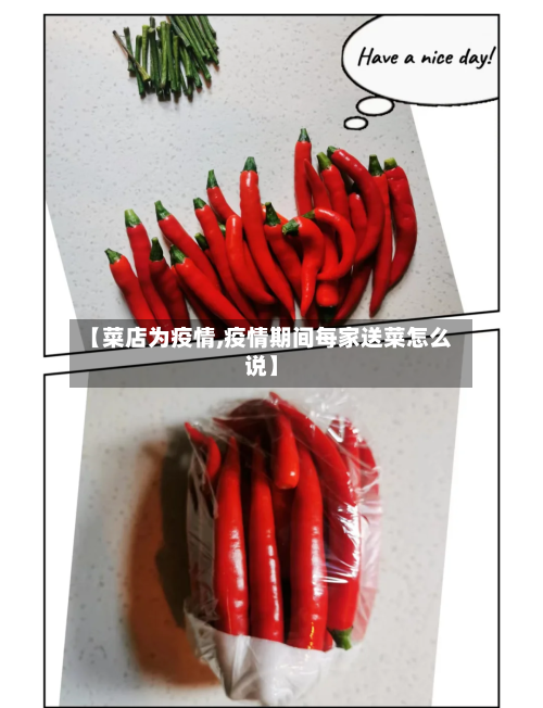 【菜店为疫情,疫情期间每家送菜怎么说】