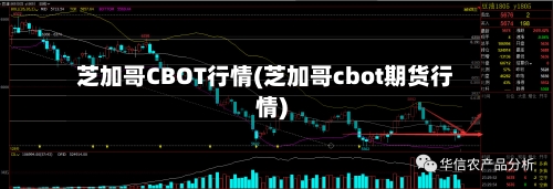 芝加哥CBOT行情(芝加哥cbot期货行情)