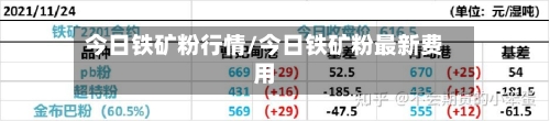 今日铁矿粉行情/今日铁矿粉最新费用