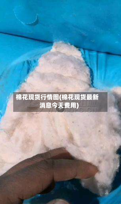 棉花现货行情图(棉花现货最新消息今天费用)