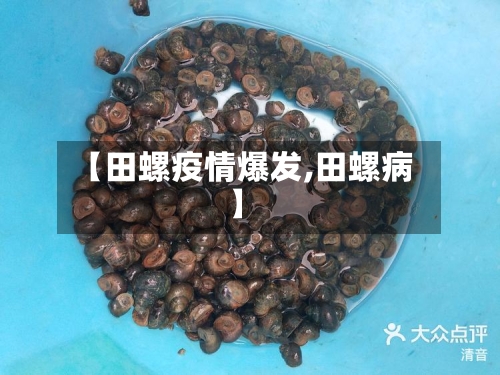 【田螺疫情爆发,田螺病】-第2张图片