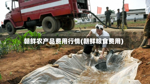 朝鲜农产品费用行情(朝鲜粮食费用)-第2张图片
