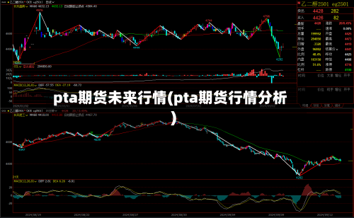 pta期货未来行情(pta期货行情分析)-第2张图片