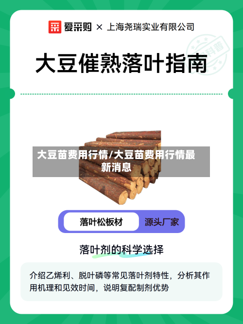 大豆苗费用行情/大豆苗费用行情最新消息-第2张图片