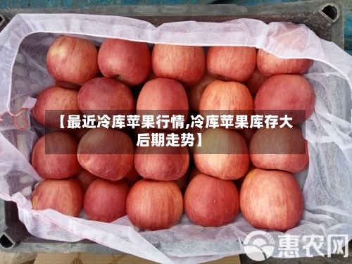 【最近冷库苹果行情,冷库苹果库存大后期走势】
