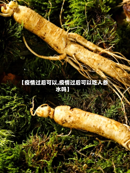 【疫情过后可以,疫情过后可以吃人参水吗】