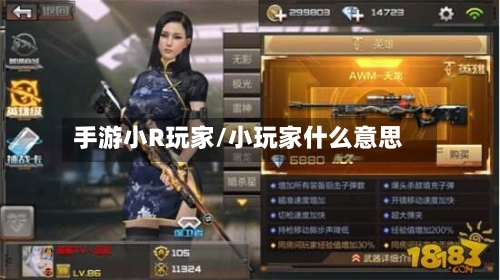 手游小R玩家/小玩家什么意思-第2张图片