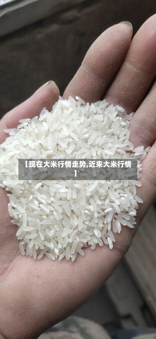 【现在大米行情走势,近来大米行情】