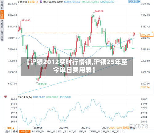 【沪银2012实时行情银,沪银25年至今单日费用表】-第3张图片